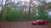 WP_20161113_001.jpg