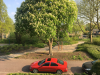 Filename=rood.png
Filesize=2129KiB
Dimensions=1024x768
Date added=Apr 30, 2018 rood.png